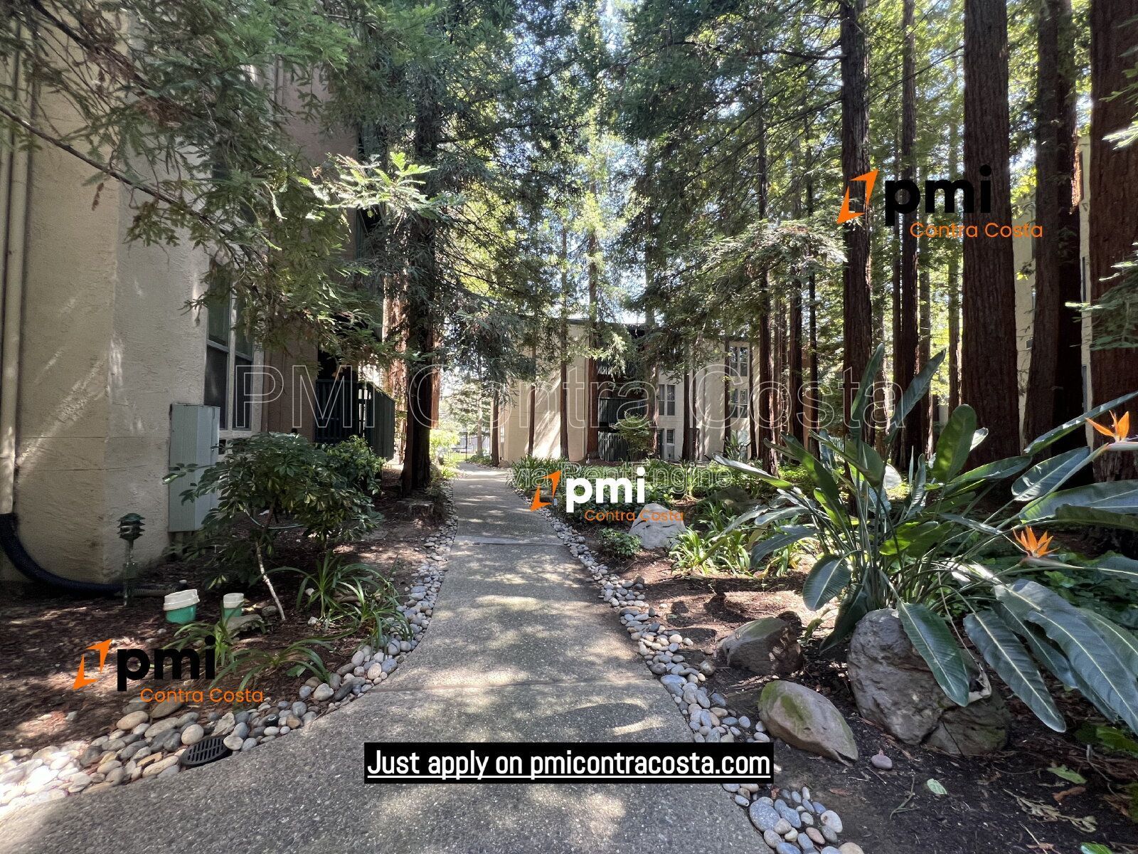 PMI Contra Costa Presents 155 Sharene Lane APT 213, Walnut Creek, CA 94596 property image