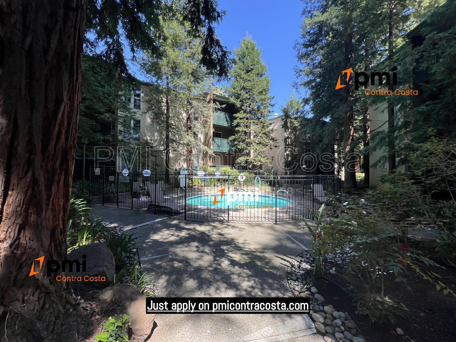 PMI Contra Costa Presents 155 Sharene Lane APT 213, Walnut Creek, CA 94596 property image
