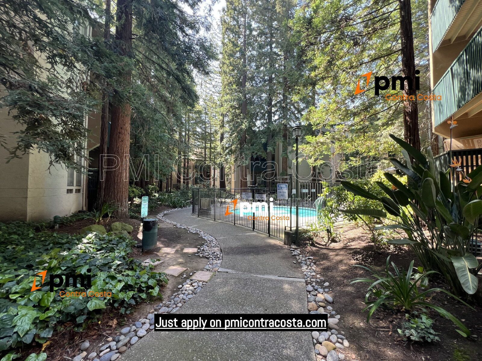 PMI Contra Costa Presents 155 Sharene Lane APT 213, Walnut Creek, CA 94596 property image