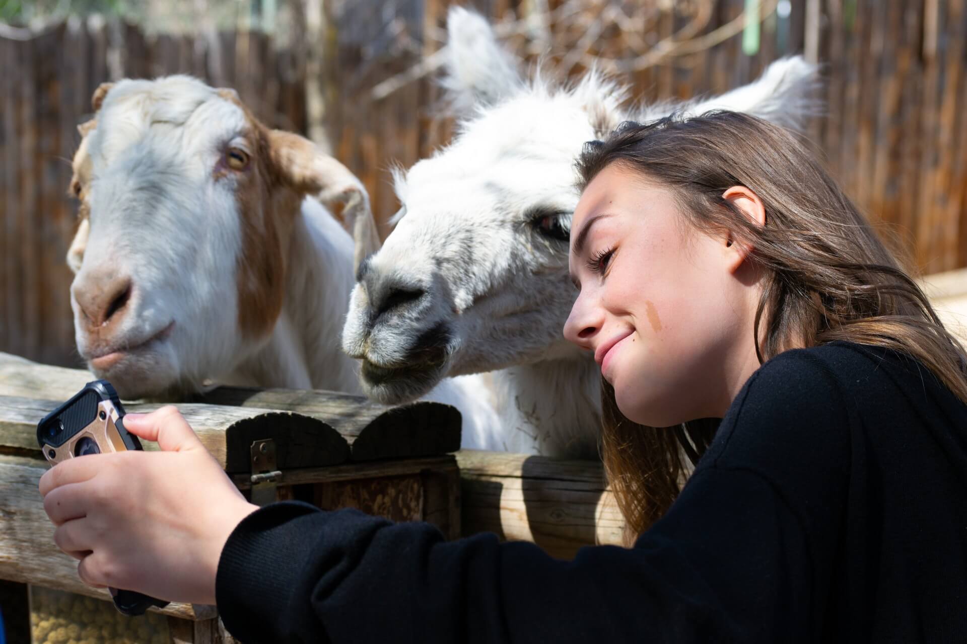 Educational Adventures the Whole Family Can Enjoy in Pleasant Hill